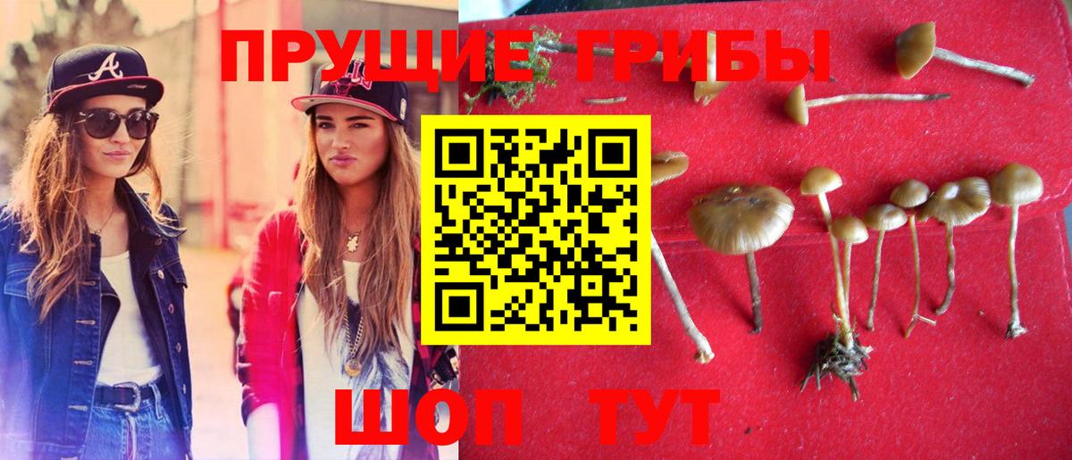Железноводск  Галлюциногенные грибы GOLDEN TEACHER  Вход с VPN 